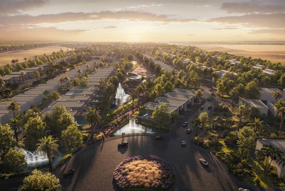 Kinz New Zayed كنز زايد الجديدة